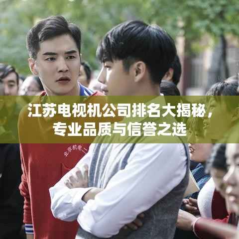 江苏电视机公司排名大揭秘，专业品质与信誉之选