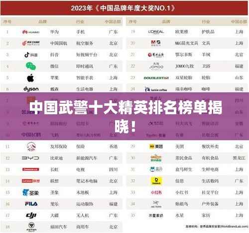中国武警十大精英排名榜单揭晓!