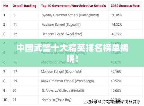 中国武警十大精英排名榜单揭晓!