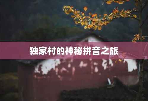 独家村的神秘拼音之旅