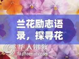 紫色蛙声 第4页