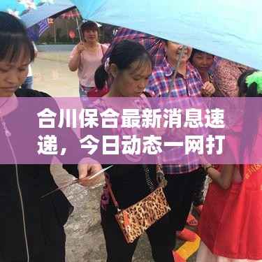 合川保合最新消息速递，今日动态一网打尽！