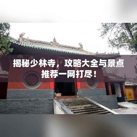 精耕细作 第4页