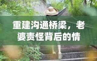 重建沟通桥梁，老婆责怪背后的情感修复之旅