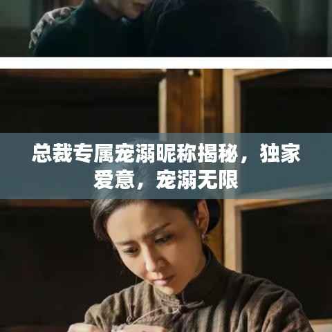 总裁专属宠溺昵称揭秘，独家爱意，宠溺无限