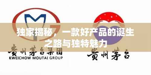 独家揭秘，一款好产品的诞生之路与独特魅力