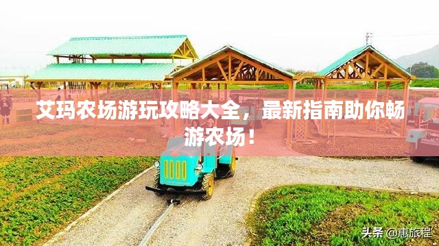 艾玛农场游玩攻略大全，最新指南助你畅游农场！