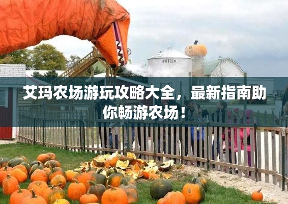 艾玛农场游玩攻略大全,最新指南助你畅游农场!