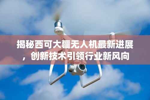 揭秘西可大疆无人机最新进展，创新技术引领行业新风向
