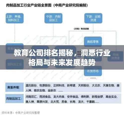 教育公司排名揭秘，洞悉行业格局与未来发展趋势
