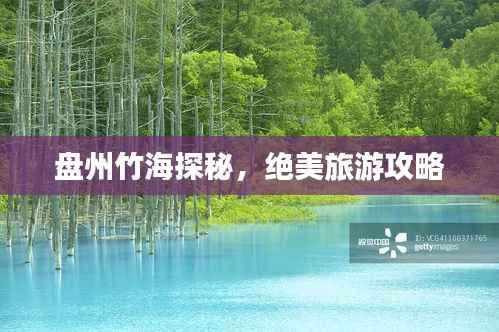 盘州竹海探秘，绝美旅游攻略