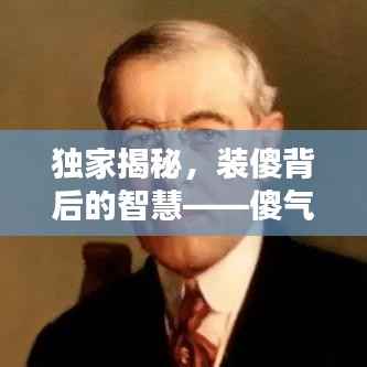 独家揭秘，装傻背后的智慧——傻气中的智慧小说