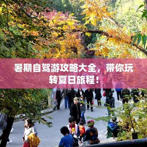 暑期自驾游攻略大全,带你玩转夏日旅程!