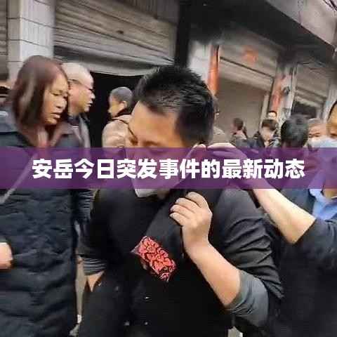安岳今日突发事件的最新动态