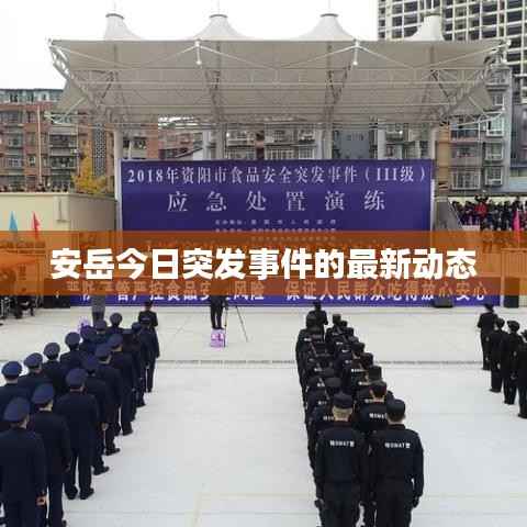 安岳今日突发事件的最新动态