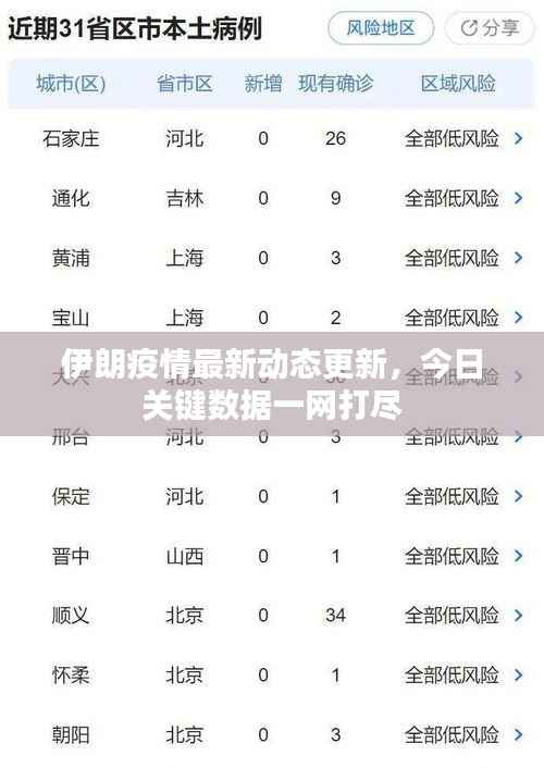 伊朗疫情最新动态更新,今日关键数据一网打尽