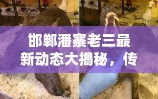 邯郸潘寨老三最新动态大揭秘，传闻背后的真相