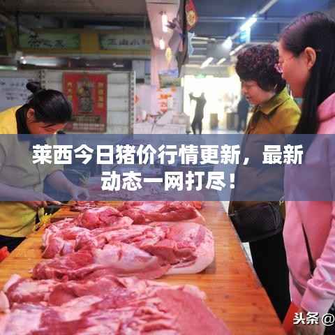 莱西今日猪价行情更新，最新动态一网打尽！
