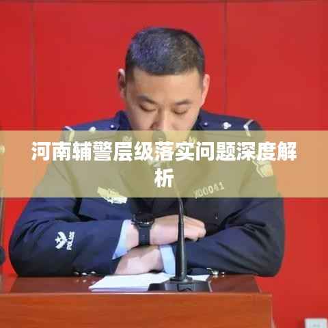 河南辅警层级落实问题深度解析