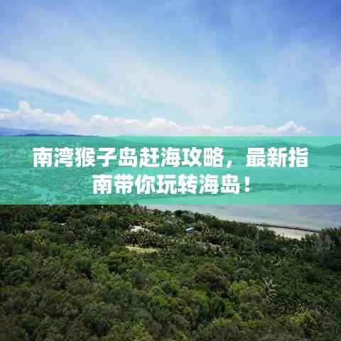 南湾猴子岛赶海攻略，最新指南带你玩转海岛！