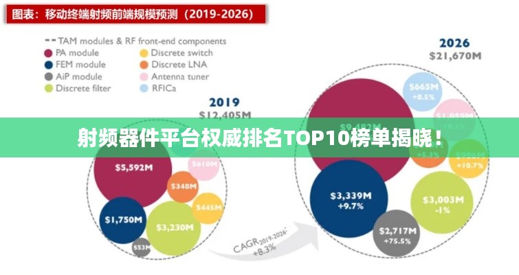 就正有道 第4页
