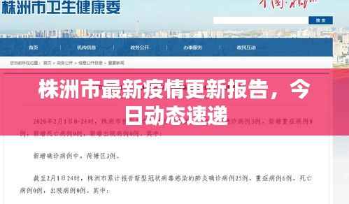 株洲市最新疫情更新报告，今日动态速递