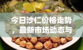 今日沙仁价格走势，最新市场动态与未来趋势深度解析