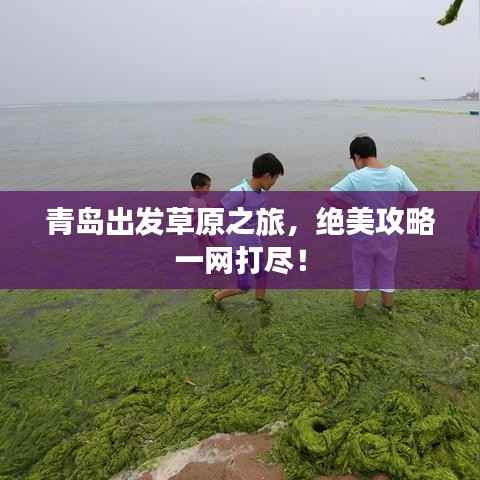 青岛出发草原之旅，绝美攻略一网打尽！