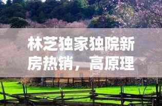 林芝独家独院新房热销,高原理想居所,静享自然之美