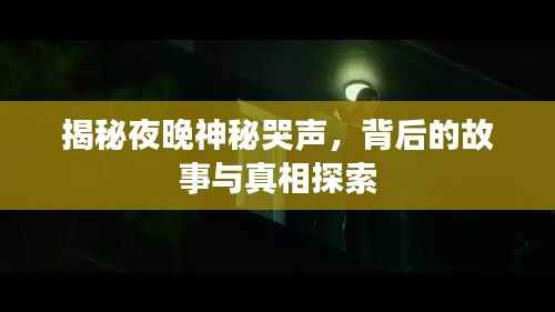 发硎新试 第3页