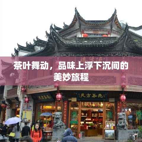茶叶舞动，品味上浮下沉间的美妙旅程