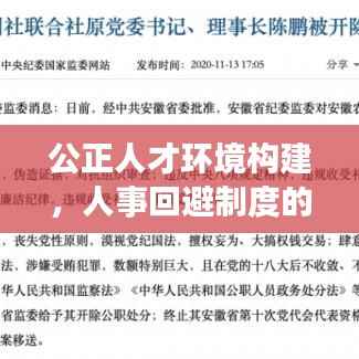 公正人才环境构建，人事回避制度的落实与实践探索