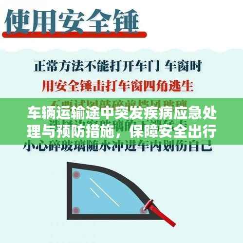 车辆运输途中突发疾病应急处理与预防措施，保障安全出行必备知识！