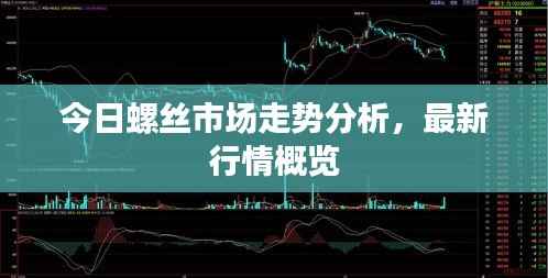 今日螺丝市场走势分析，最新行情概览