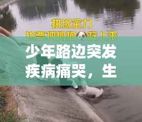 少年路边突发疾病痛哭，生命脆弱时刻呼唤社会关怀之心