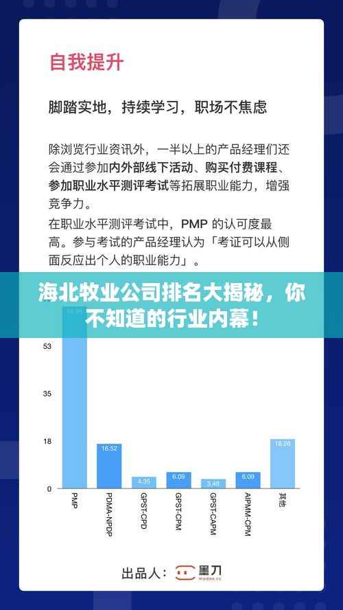 海北牧业公司排名大揭秘，你不知道的行业内幕！