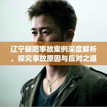 辽宁朝阳事故案例深度解析,探究事故原因与应对之道