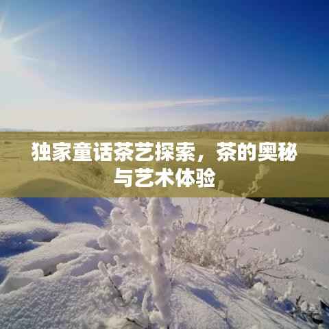 独家童话茶艺探索，茶的奥秘与艺术体验