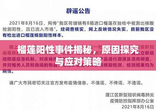 榴莲阳性事件揭秘，原因探究与应对策略