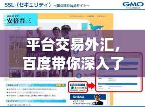 平台交易外汇，百度带你深入了解外汇交易之道