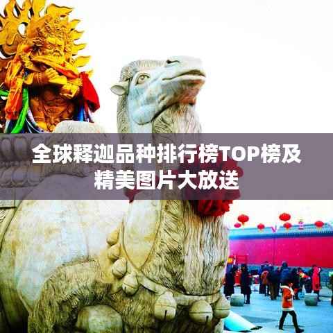 全球释迦品种排行榜TOP榜及精美图片大放送