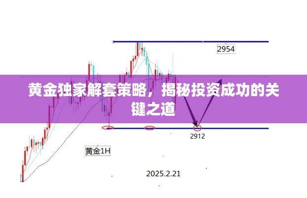 黄金独家解套策略，揭秘投资成功的关键之道