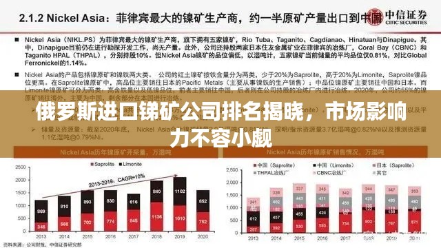 俄罗斯进口锑矿公司排名揭晓，市场影响力不容小觑