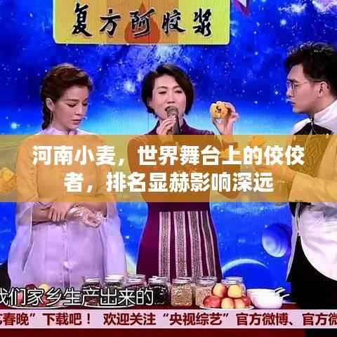 河南小麦，世界舞台上的佼佼者，排名显赫影响深远