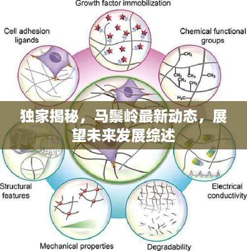 独家揭秘，马鬃岭最新动态，展望未来发展综述