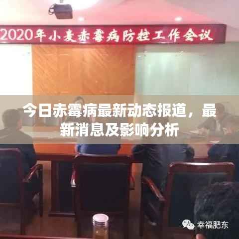 今日赤霉病最新动态报道，最新消息及影响分析