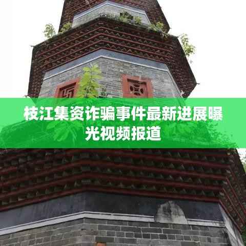 专心致志 第4页