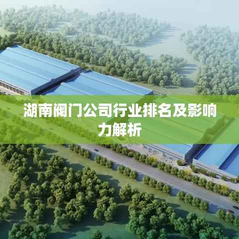 湖南阀门公司行业排名及影响力解析