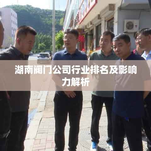 湖南阀门公司行业排名及影响力解析