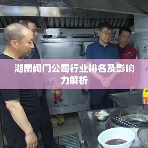 湖南阀门公司行业排名及影响力解析